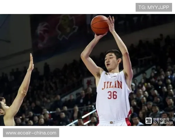 代怀博的成长之路与未来展望：从新生代到行业领军者的蜕变之旅